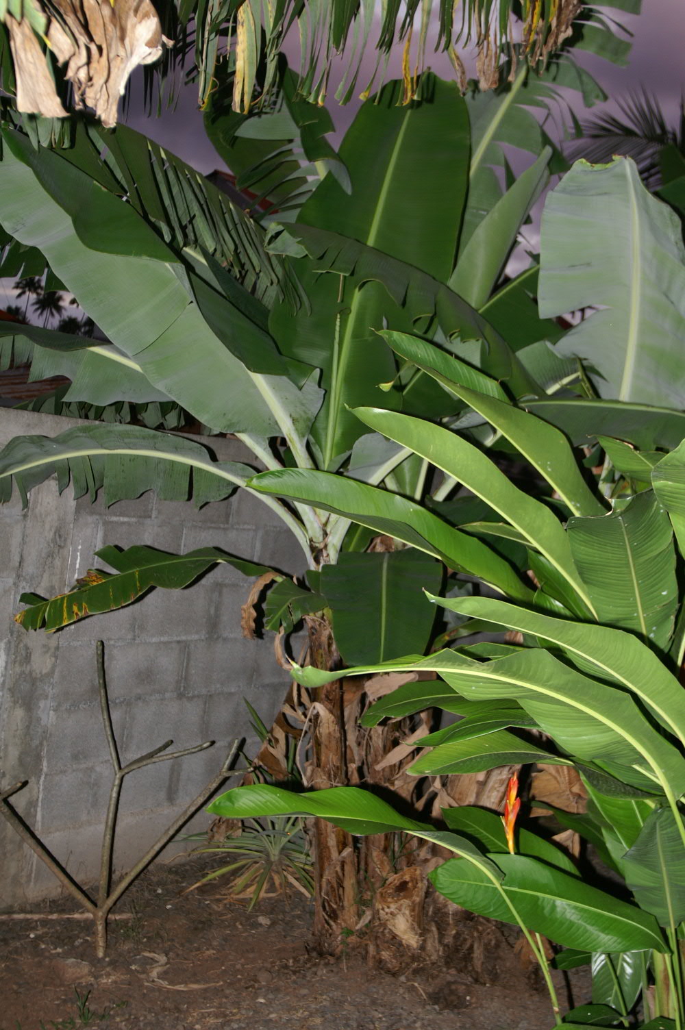 PICT1340.JPG