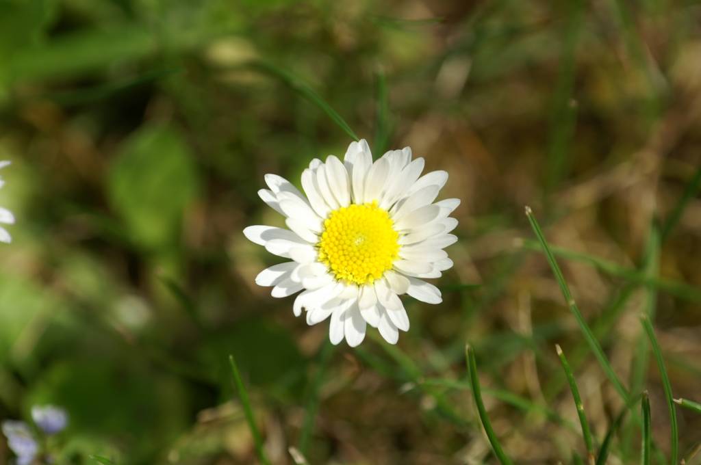PICT2385.JPG