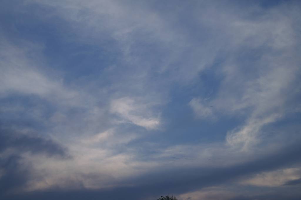 PICT2401.JPG