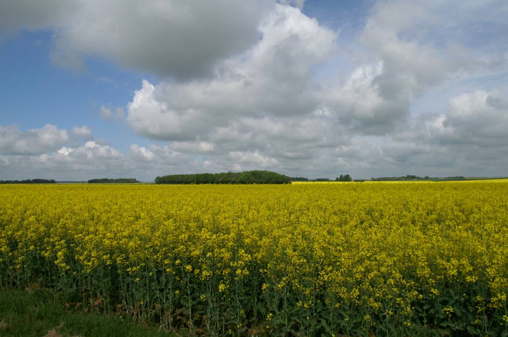 PICT2454.JPG