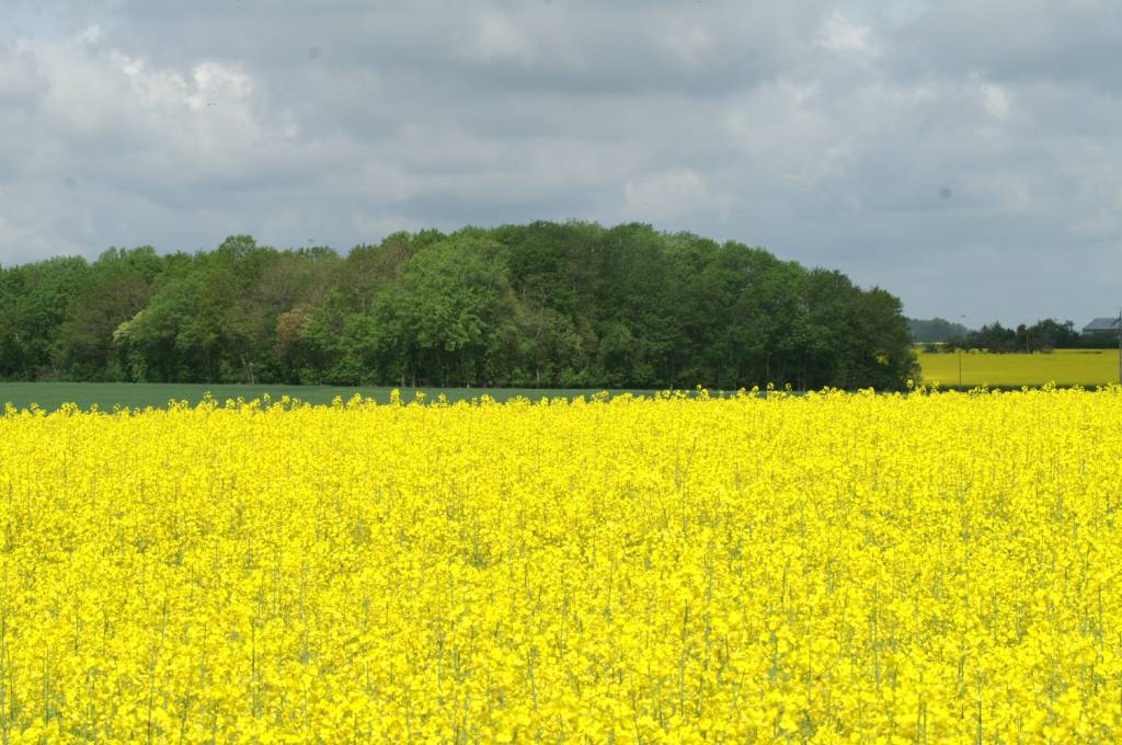 PICT2456.JPG
