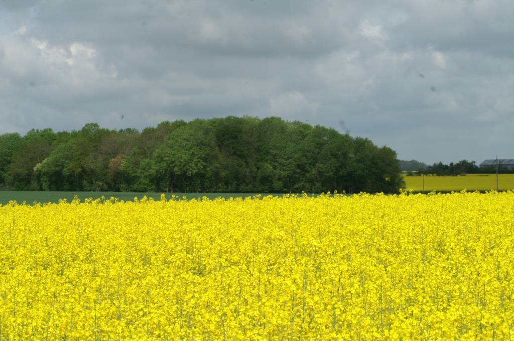 PICT2457.JPG