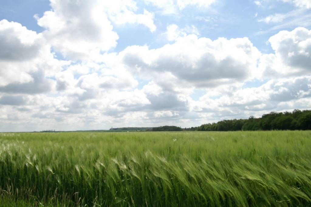 PICT2460.JPG