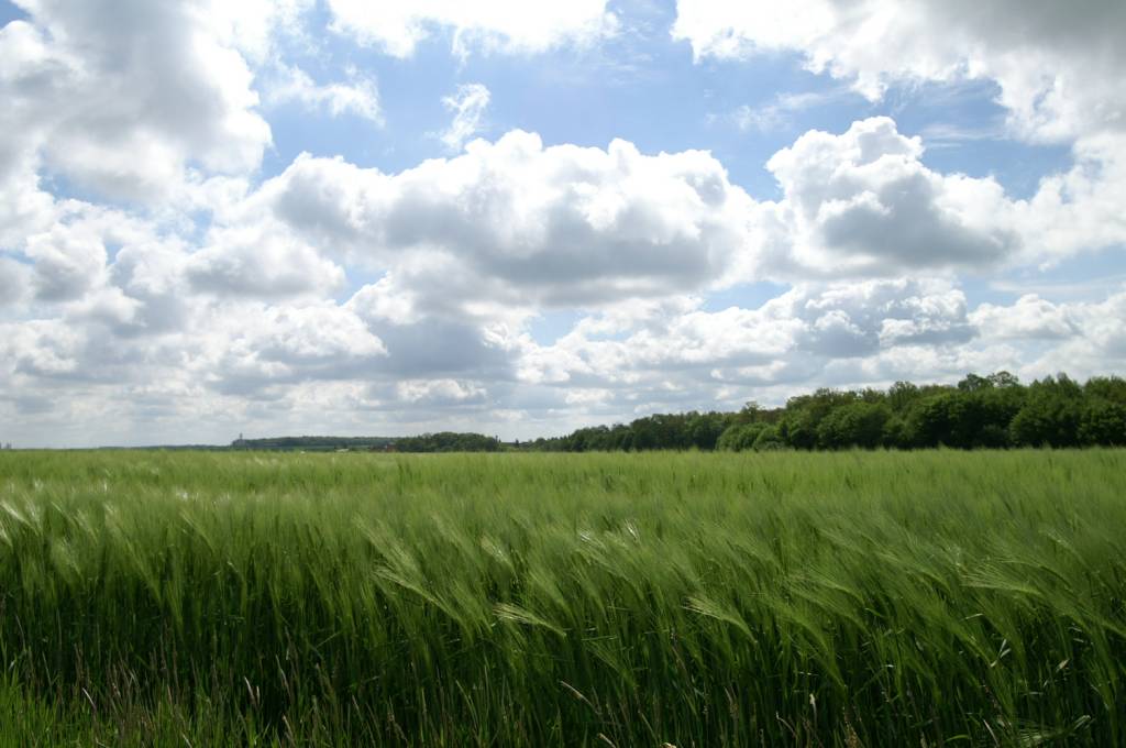 PICT2461.JPG