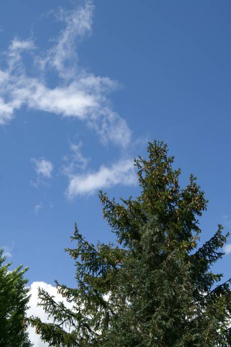 PICT2467.JPG