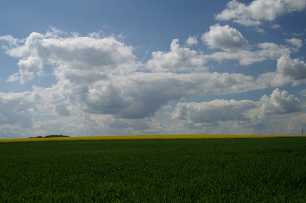 PICT2473.JPG