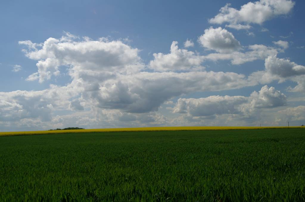 PICT2475.JPG