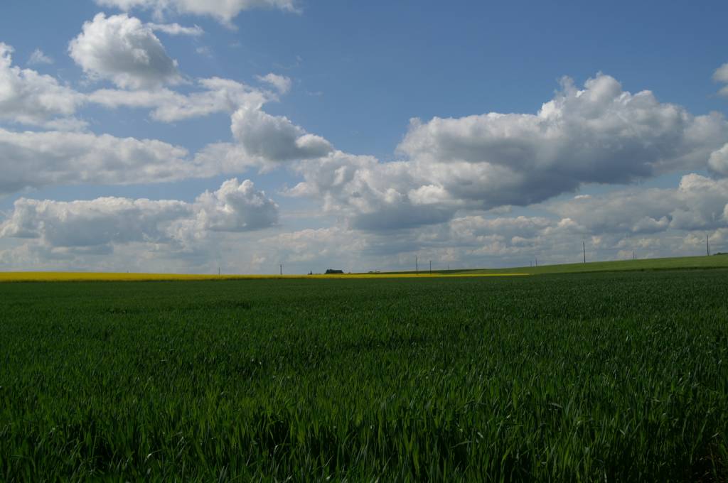 PICT2478.JPG