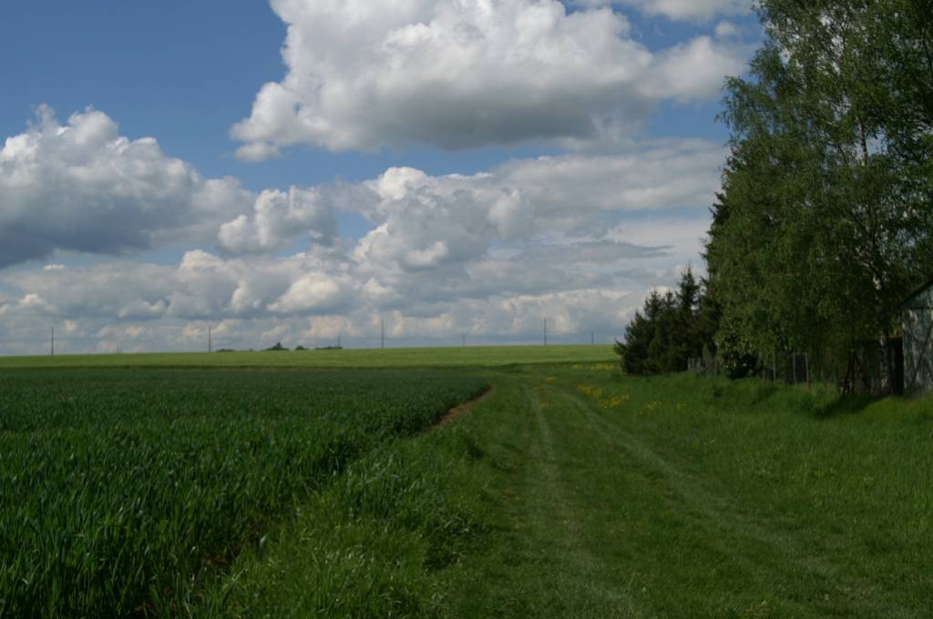 PICT2479.JPG