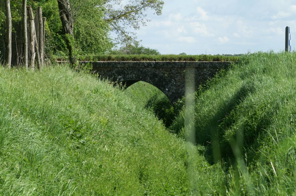 PICT2497.JPG