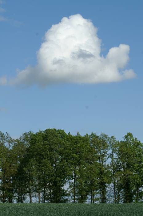 PICT2505.JPG