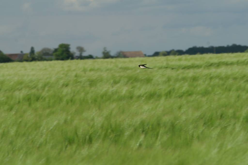 PICT2520.JPG