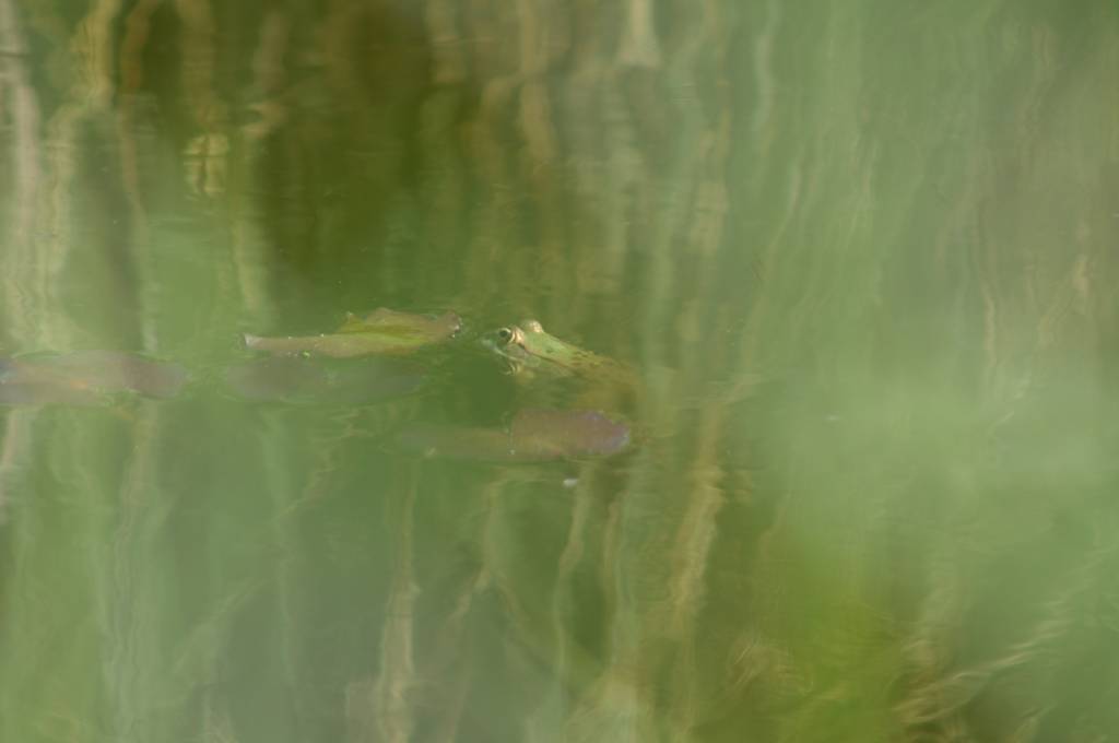 PICT2526.JPG