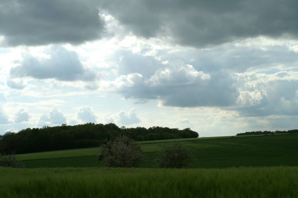 PICT2531.JPG